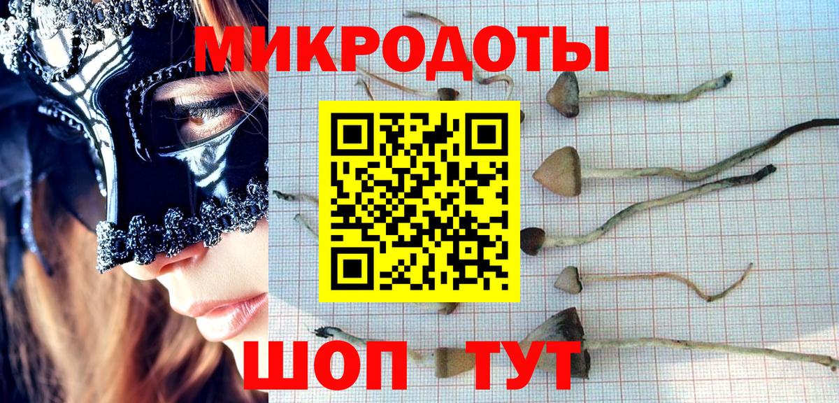 Серов  Галлюциногенные грибы Psilocybe  Вход с VPN 